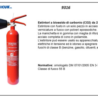 Estintore omologato ce co2 kg 2 34b