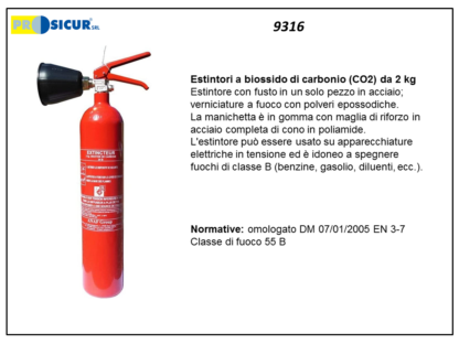 Estintore omologato ce co2 kg 2 34b